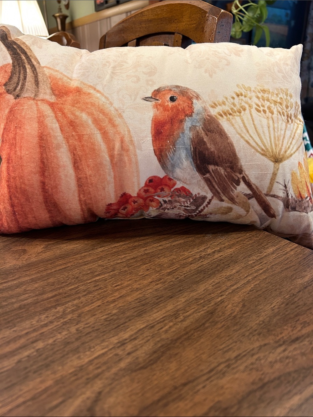 Autumn Robin Pumpkin Accent Pillow - Cream and Orange